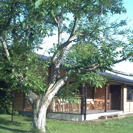 Villa Pod Orzechem à Sanok Extérieur photo