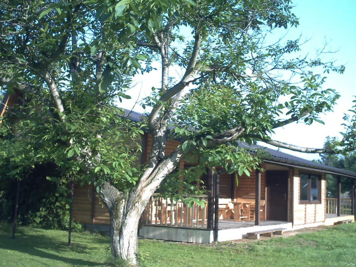 Villa Pod Orzechem à Sanok Extérieur photo